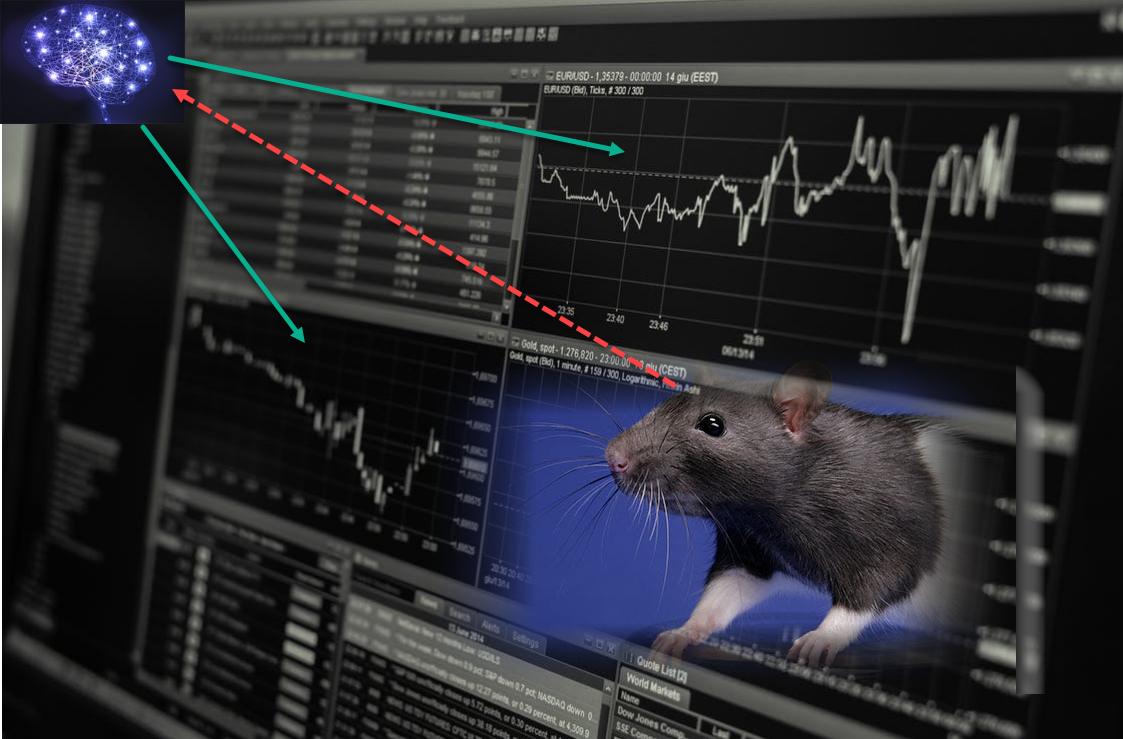 Rat_Markets